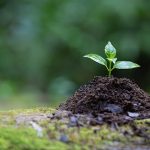 An overview of Environmental Law and Economics - Sheet6