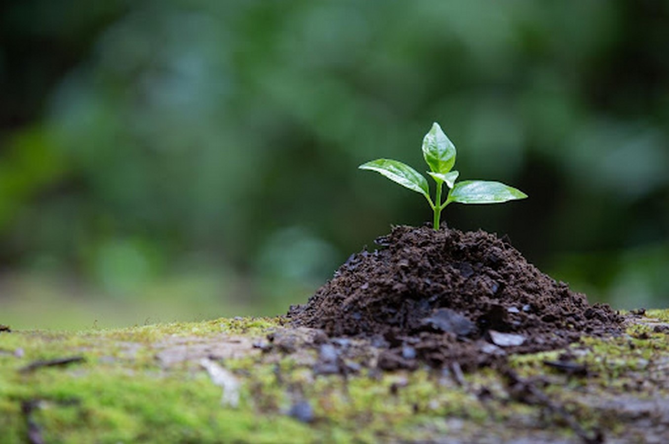 An overview of Environmental Law and Economics - Sheet6