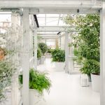 Is wellness architecture the future of the architecture? - Sheet2