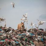 Circular Economy and Architecture - Sheet1