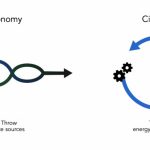 Circular Economy and Architecture - Sheet2