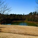 Evander Holyfield House: 10 Facts through Architect's Lens - Sheet4