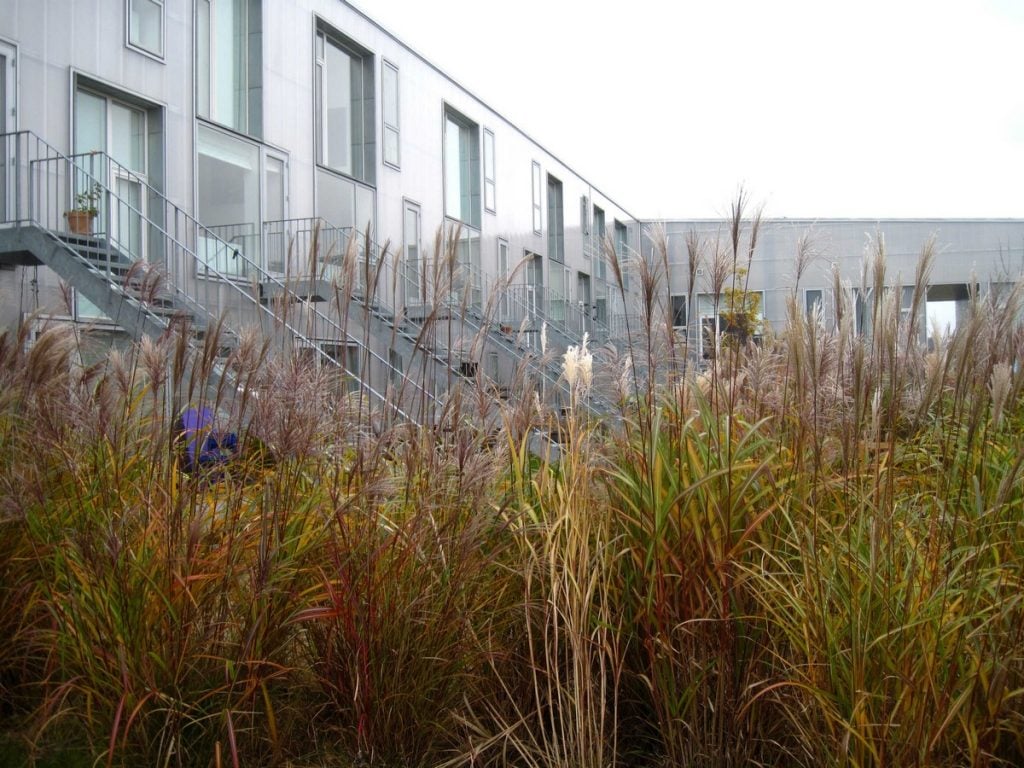 Cohousing: A Solution for Sustainable Urbanism - RTF | Rethinking The ...