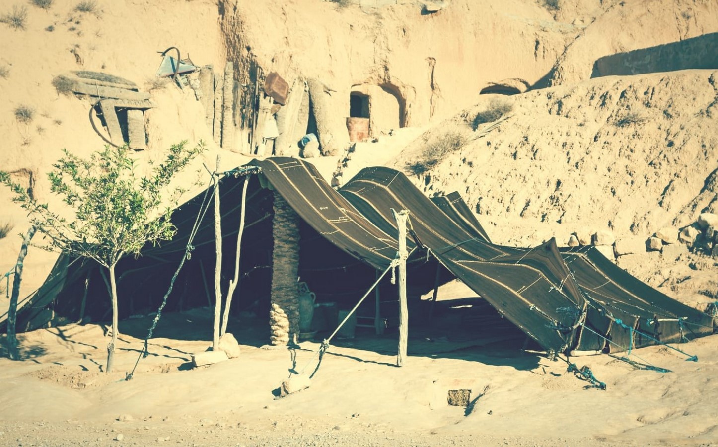 An overview of Vernacular architecture in the UAE. - Sheet9