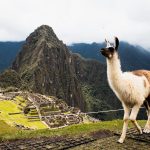 The Best Places in Every Continent - Sheet21