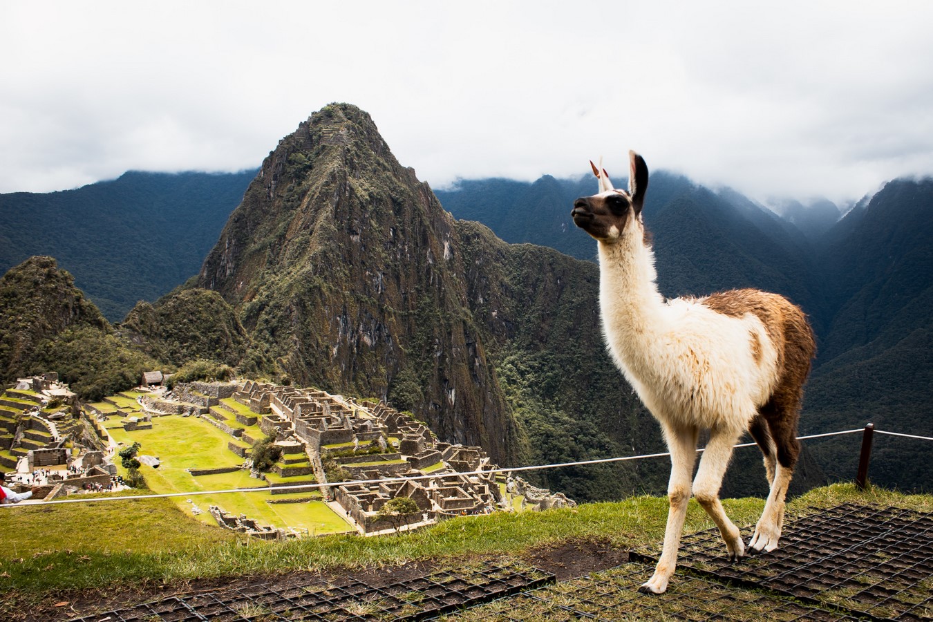 The Best Places in Every Continent  - Sheet21
