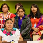 What are Indigenous Rights Activists - Sheet3