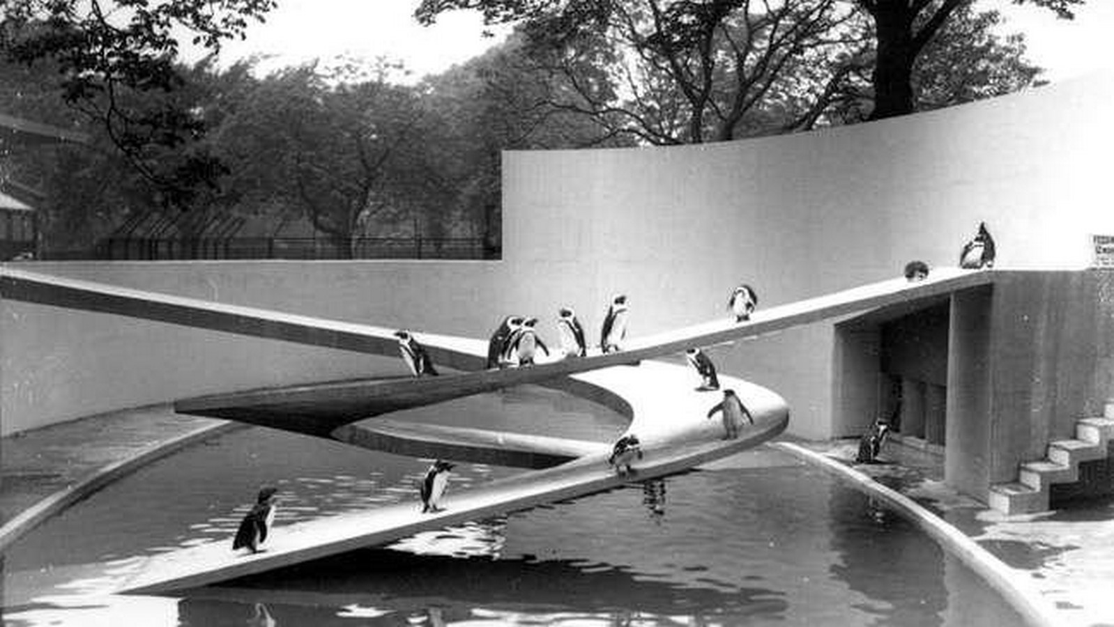 What are The Isms of Architecture