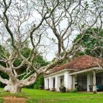 30 Famous Architects & Their Famous Buildings - Sheet56