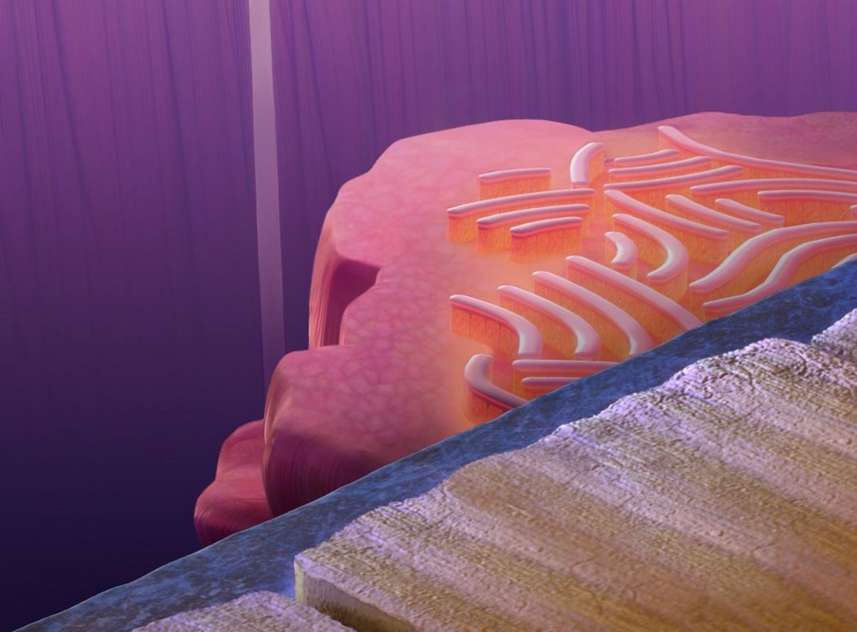 An architectural review of Inside Out - Sheet6