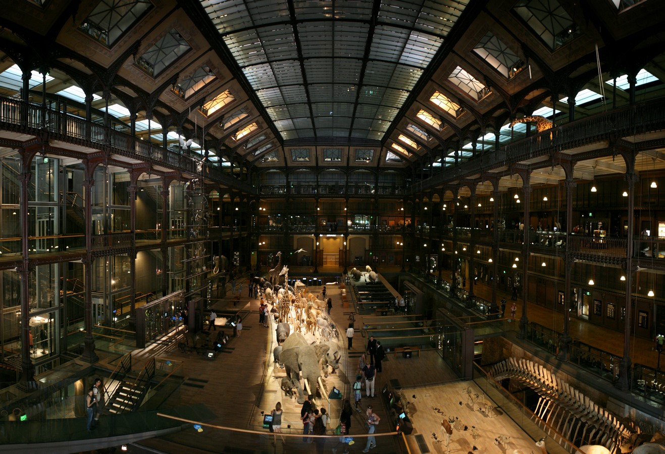 The French Natural History Museum Of Lille renovated by Snøhetta - Sheet3