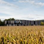 nfw! by LOVE architecture and urbanism - Sheet1