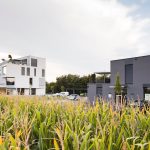 nfw! by LOVE architecture and urbanism - Sheet5
