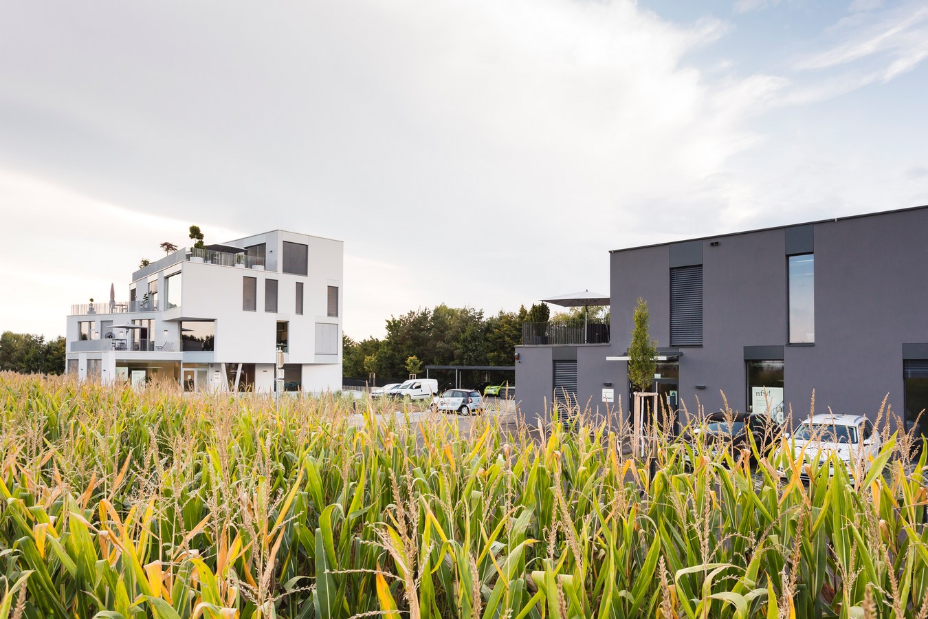 nfw! by LOVE architecture and urbanism - Sheet5
