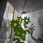 SNR House by DB Studios - Sheet7