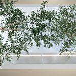 7 Series House by STATE of Architecture - Sheet4