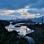 15 Places to visit in Wayanad for Travelling Architect - Sheet21