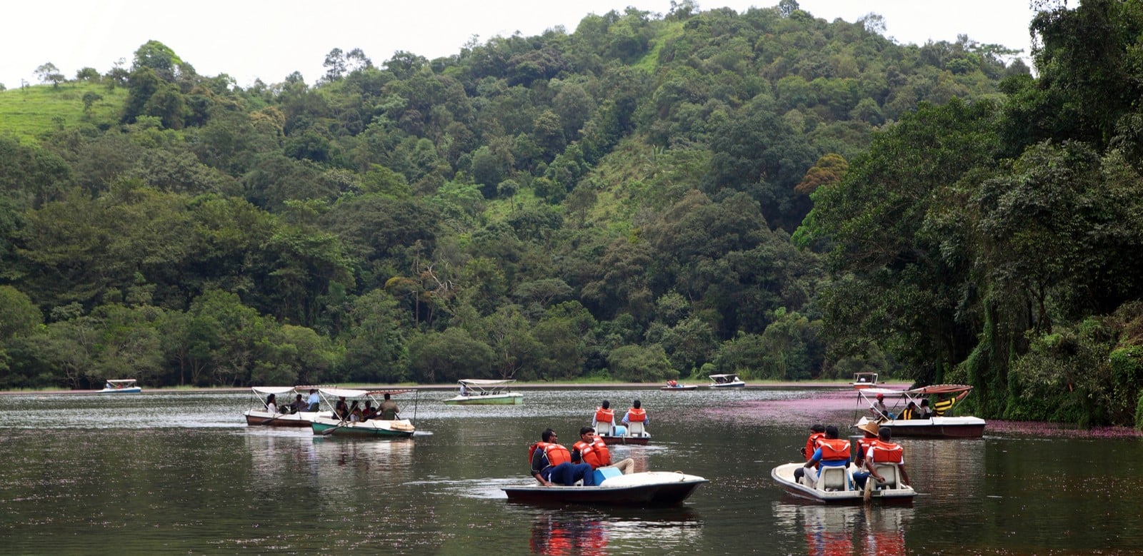 Pookode Lake View_©https://wayanadtourism.co.in/pookode-lake-wayanad