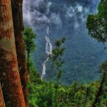 15 Places to visit in Wayanad for Travelling Architect - Sheet37
