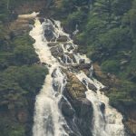 15 Places to visit in Wayanad for Travelling Architect - Sheet39