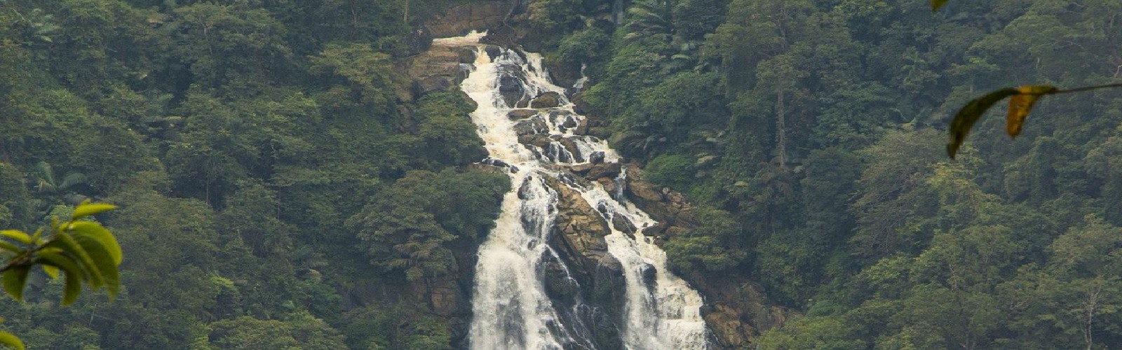 Meenmutty waterfalls_©https://www.trawell.in/blog/waterfalls-in-wayanad-that-you-should-not-miss