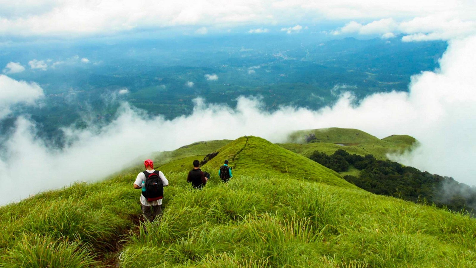 15 Places to visit in Wayanad for Travelling Architect - Sheet40
