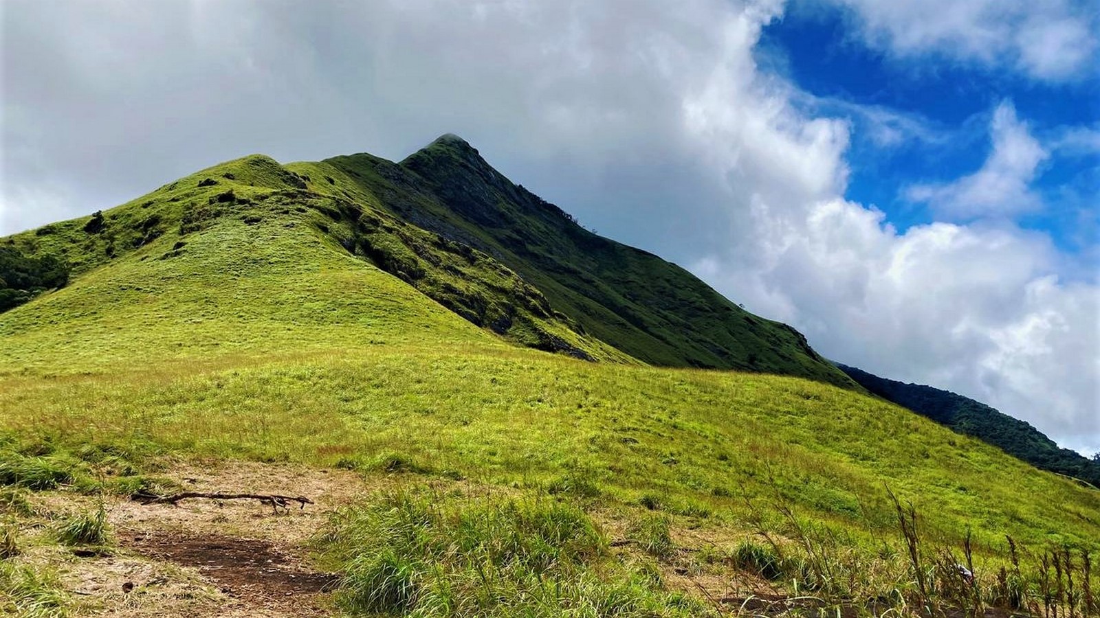 Chembra Peak View_©https://www.xafari.in/poi/chembra-peak-wayanad