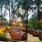 15 Places to visit in Wayanad for Travelling Architect - Sheet43