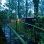 15 Places to visit in Wayanad for Travelling Architect - Sheet44