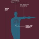 The red planet and the architectural community - Sheet12