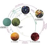 The red planet and the architectural community - Sheet8