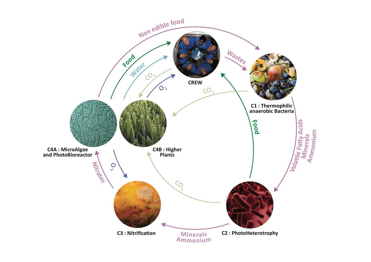 The red planet and the architectural community - Sheet8