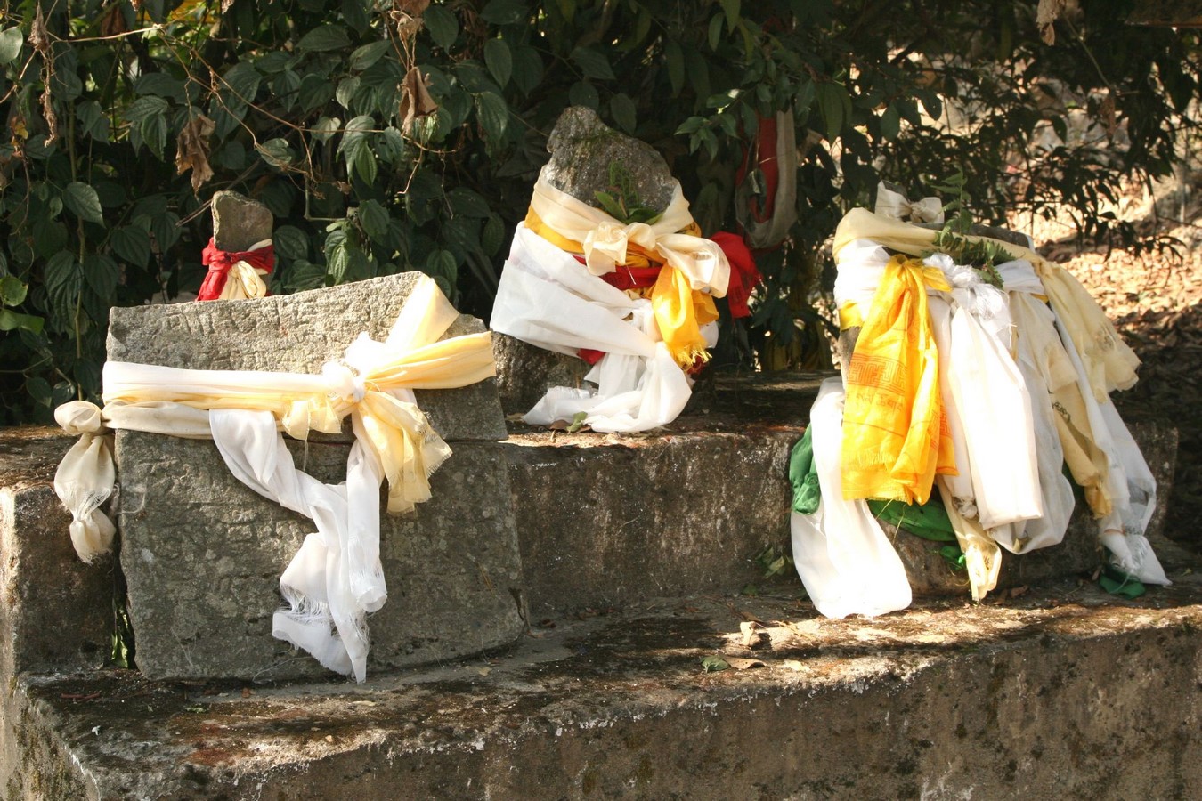 15 Places to Visit in Gangtok for Travelling Architect - Sheet20