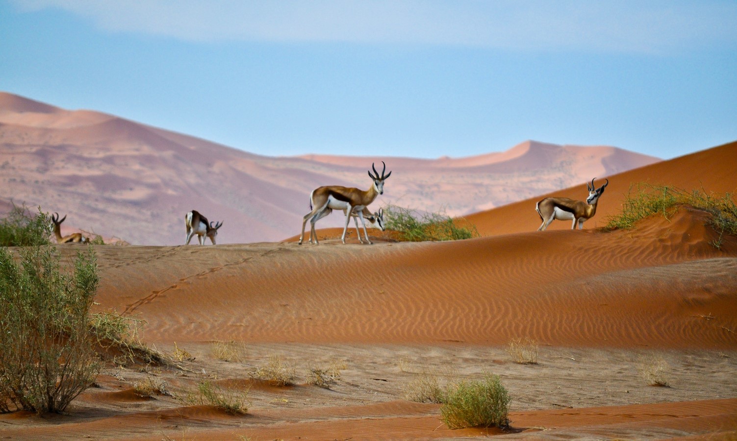 An architectural review of a location: Namibia - Sheet22