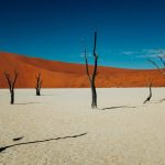 An architectural review of a location: Namibia - Sheet23