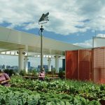 Health and Wellbeing in Architecture - Sheet7
