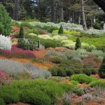 Philosophy of garden design - Sheet2