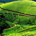 15 Places To Visit In Uttarakhand for Travelling Architect - Sheet22