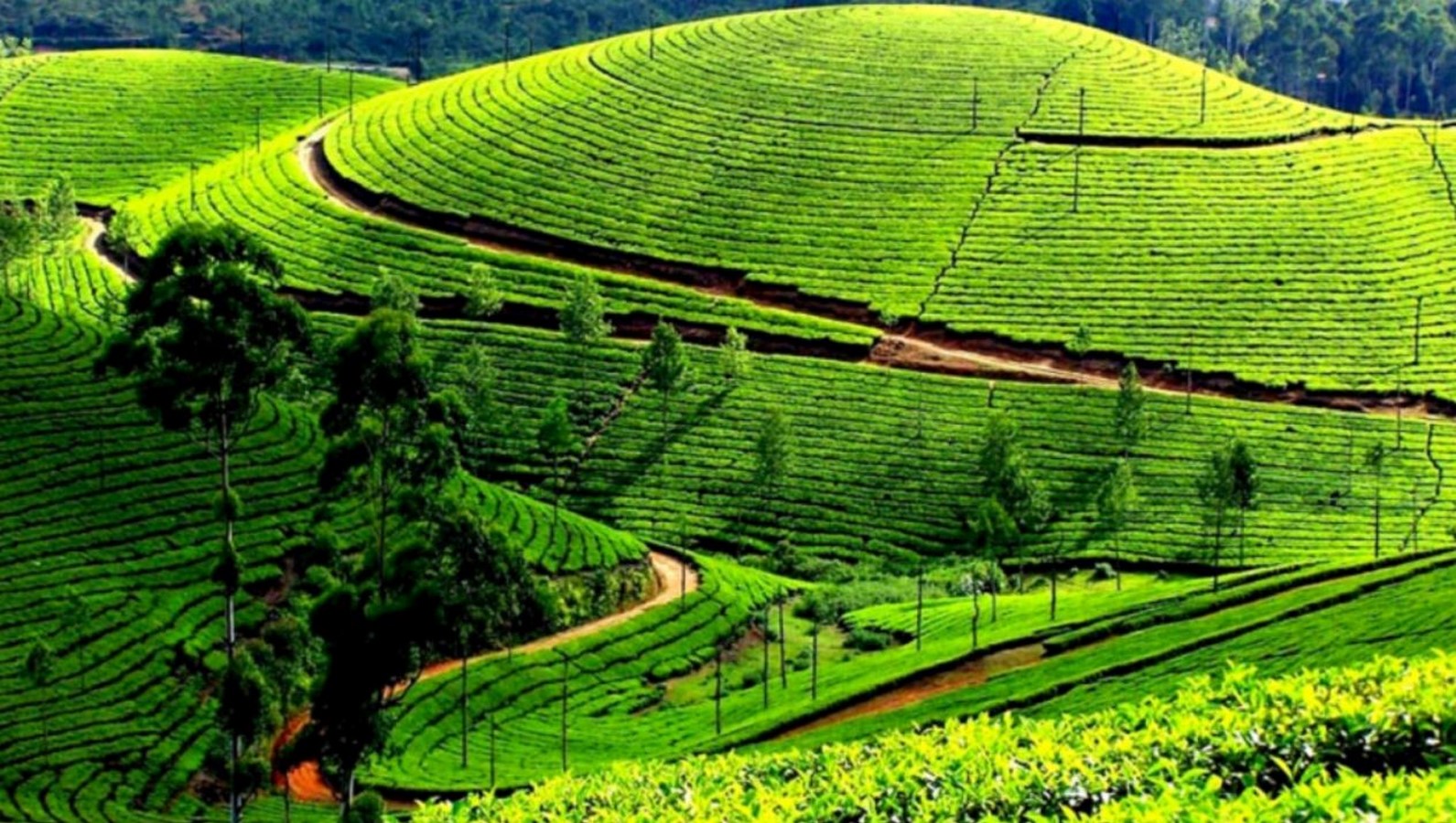 15 Places To Visit In Uttarakhand for Travelling Architect - Sheet22