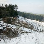 15 Places To Visit In Uttarakhand for Travelling Architect - Sheet24