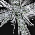 Article in Focus: Sociology of architecture: an emerging perspective by Thomas S. Korllos - Sheet2