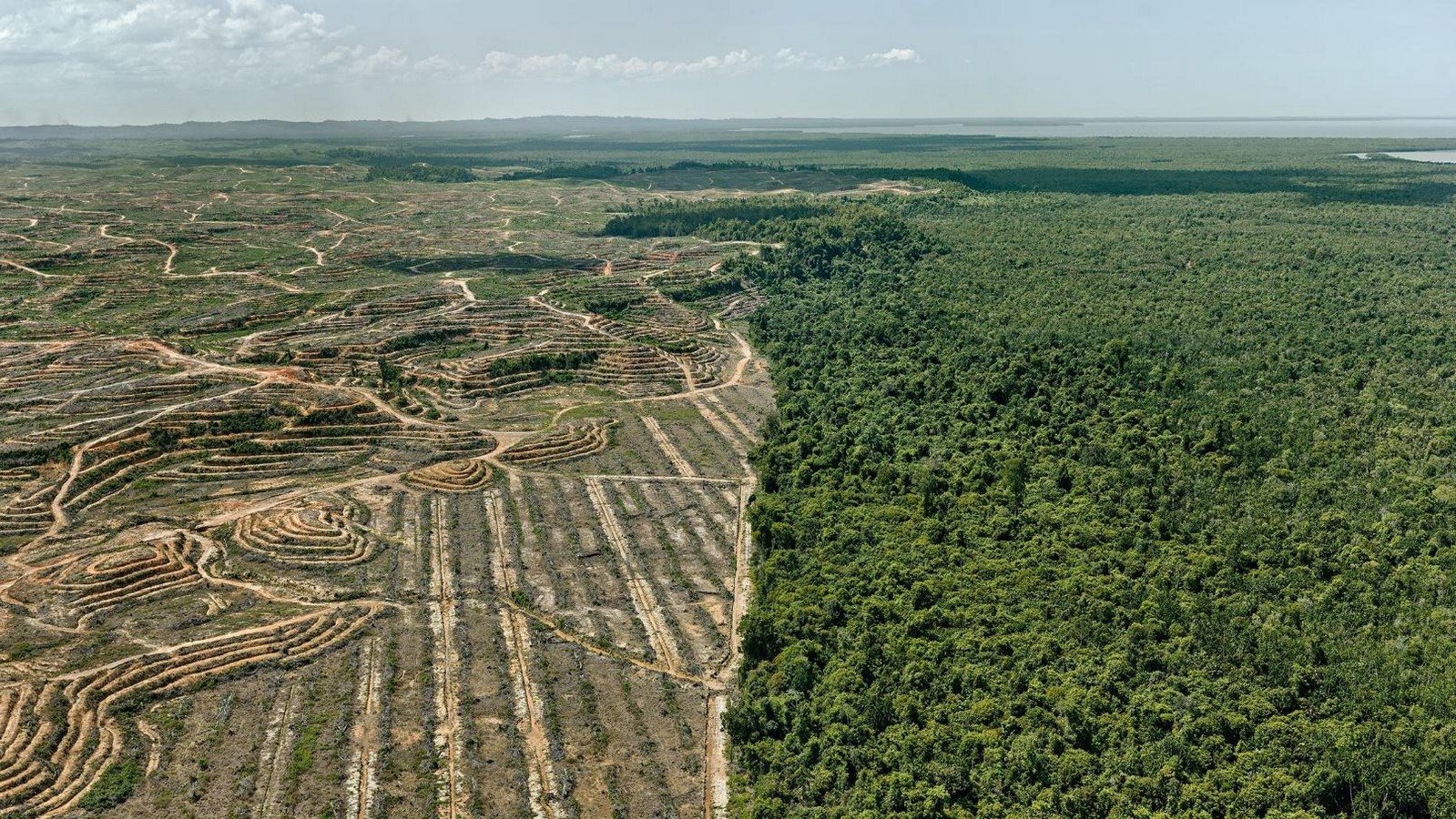 Image 8_Disastrous environmental impact of urbanization _© https://www.wired.co.uk/article/ed-burtynsky-anthropocene