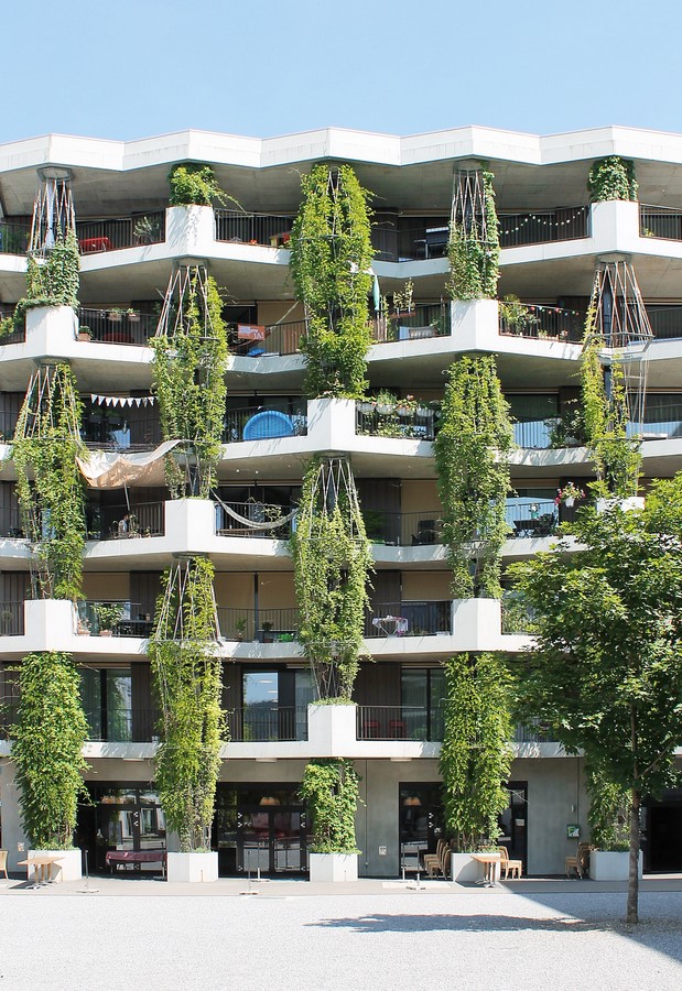 Reasons to Study an Architecture Degree in 2023 2