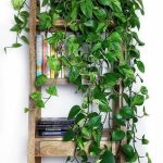 10 Biggest Houseplant Trends for 2023 - Sheet1