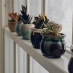 10 Biggest Houseplant Trends for 2023 - Sheet9