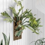 10 Biggest Houseplant Trends for 2023 - Sheet10