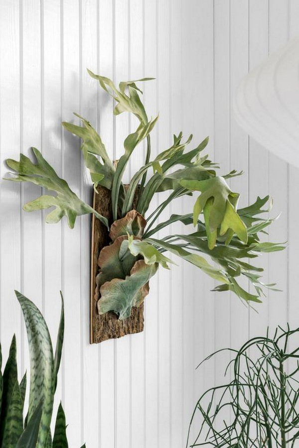 10 Biggest Houseplant Trends for 2023 - Sheet10