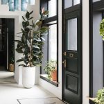 10 Biggest Houseplant Trends for 2023 - Sheet14