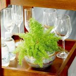 10 Biggest Houseplant Trends for 2023 - Sheet16