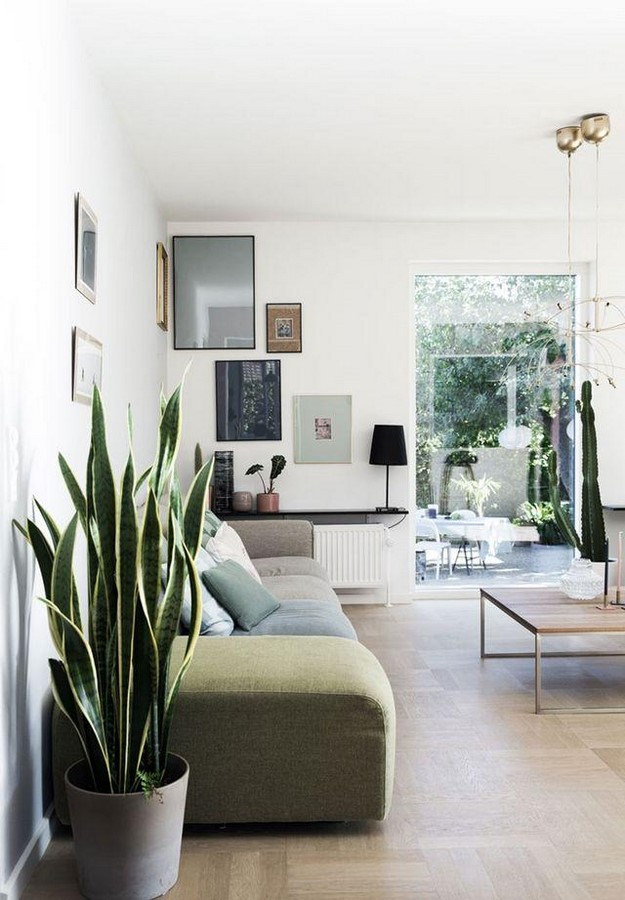 10 Biggest Houseplant Trends for 2023 - Sheet8